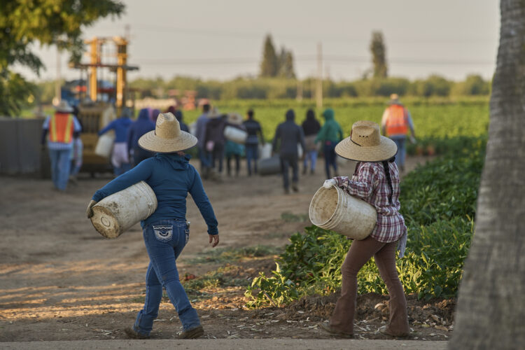 1.2 Million Immigrants Are Gone From U.S. Labor Force Under Trump